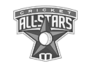 Cricket All Stars